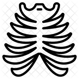 Rib cage  Icon
