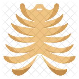 Rib cage  Icon