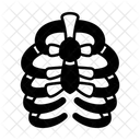 Rib cage Icon