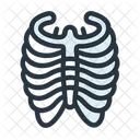 Rib Cage Bones Rib Icon