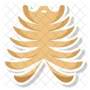 Rib Cage Thoracic Framework Costal Bones Icon