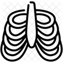 Rib Icon
