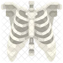 Rib Organ Body Part Icône