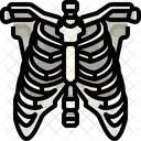 Rib Organ Body Part Icône