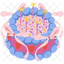 Ribbon Birthday Cake Decoration Celebration Icon