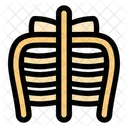 Ribcage Skeleton Anatomy Icon