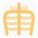 Ribcage Skeleton Anatomy Icon