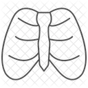 Ribcage Thinline Icon Icon