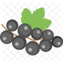 Ribes nero  Icon