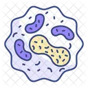 Ribosome Organelle Science Icon