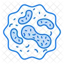 Ribosome Organelle Science Icon