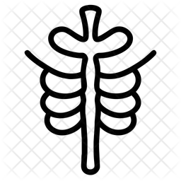 Ribs  Icon