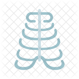 Ribs Icon
