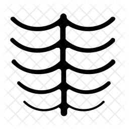 Ribs Icon