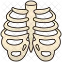 Ribs  Icon