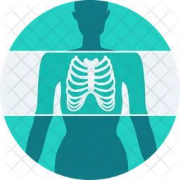 Ribs x ray  Icon