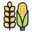 Rice and Corn  Icon