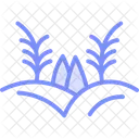Rice Field Rice Field Icon