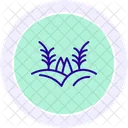 Rice Field Rice Field Icon