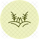 Rice Field Rice Field Icon