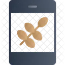 Rice Grain Staple Icon