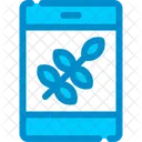 Rice Grain Staple Icon