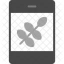 Rice Grain Staple Icon