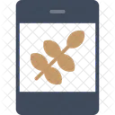 Rice Grain Staple Icon