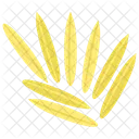 Rice Seeds Healthy Diet Icon
