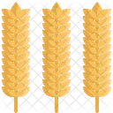 Rice  Icon