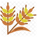 Rice  Icon