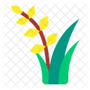 Rice  Icon