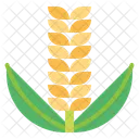 Rice Plant Ear Of Rice Icon