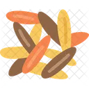 Rice Wild Grain Icon