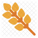 Rice Wheat Grain Icon