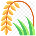 Rice Plant Seeds Farming Icon