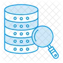 Server Database Ricerca Icon