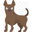 Ridgeback  Ícone