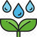 Regar Planta Lluvia Icono