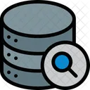 Right Database Right Arrow Icon