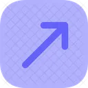 Asset Icon