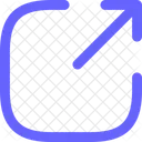 Asset Icon