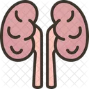 Renal Urinario Dialise Ícone