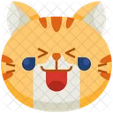 Haha Emoticon Gato Ícone