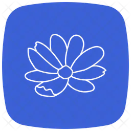 Ringelblume  Symbol