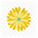 Ringelblume  Symbol