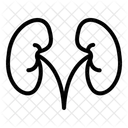 Riñón  Icono