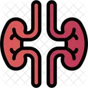 Rinon Biologia Atencion Medica Y Medica Icono
