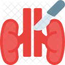Rinon Cirugia Operacion Icono
