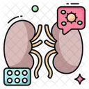 Riñones  Icono